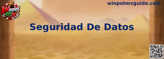 Seguridad De Datos en Winpot Mx