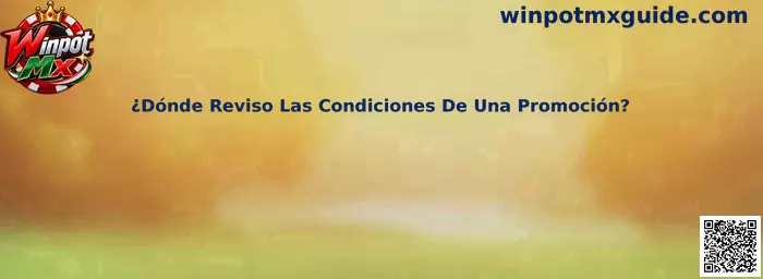 Guía para revisar las condiciones de una promoción en Winpot Mx