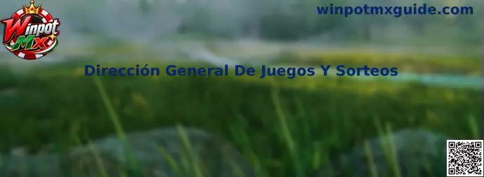 Dirección General De Juegos Y Sorteos y regulación formal de Winpot Mx en México