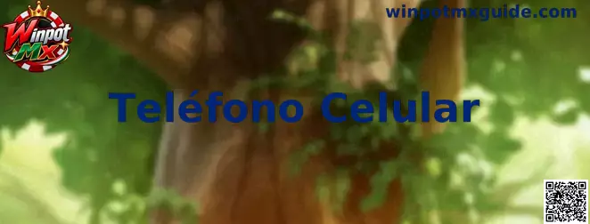 Guía visual del proceso de Teléfono Celular en Winpot Mx