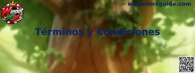 Información sobre los Términos y Condiciones de Winpot Mx